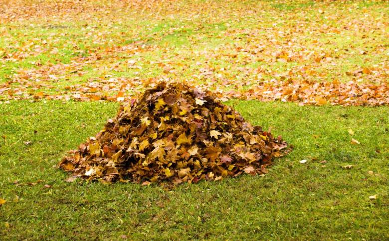 Comment réutiliser les feuilles mortes ?