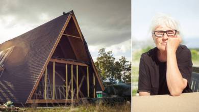 Autoconstruction : une architecte de 65 construit une adorable "maison en A" pour seulement 35 000 euros