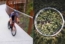Belgique : Ce pont circulaire et suspendu permet de faire du vélo en pleine forêt