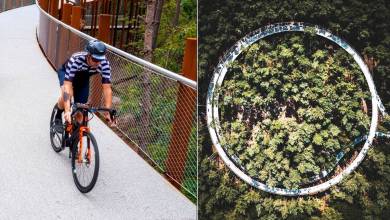 Belgique : Ce pont circulaire et suspendu permet de faire du vélo en pleine forêt