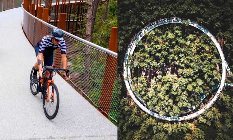 Belgique : Ce pont circulaire et suspendu permet de faire du vélo en pleine forêt