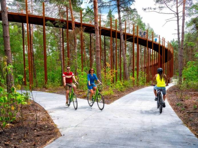 Belgique : Ce pont circulaire et suspendu permet de faire du vélo en pleine forêt