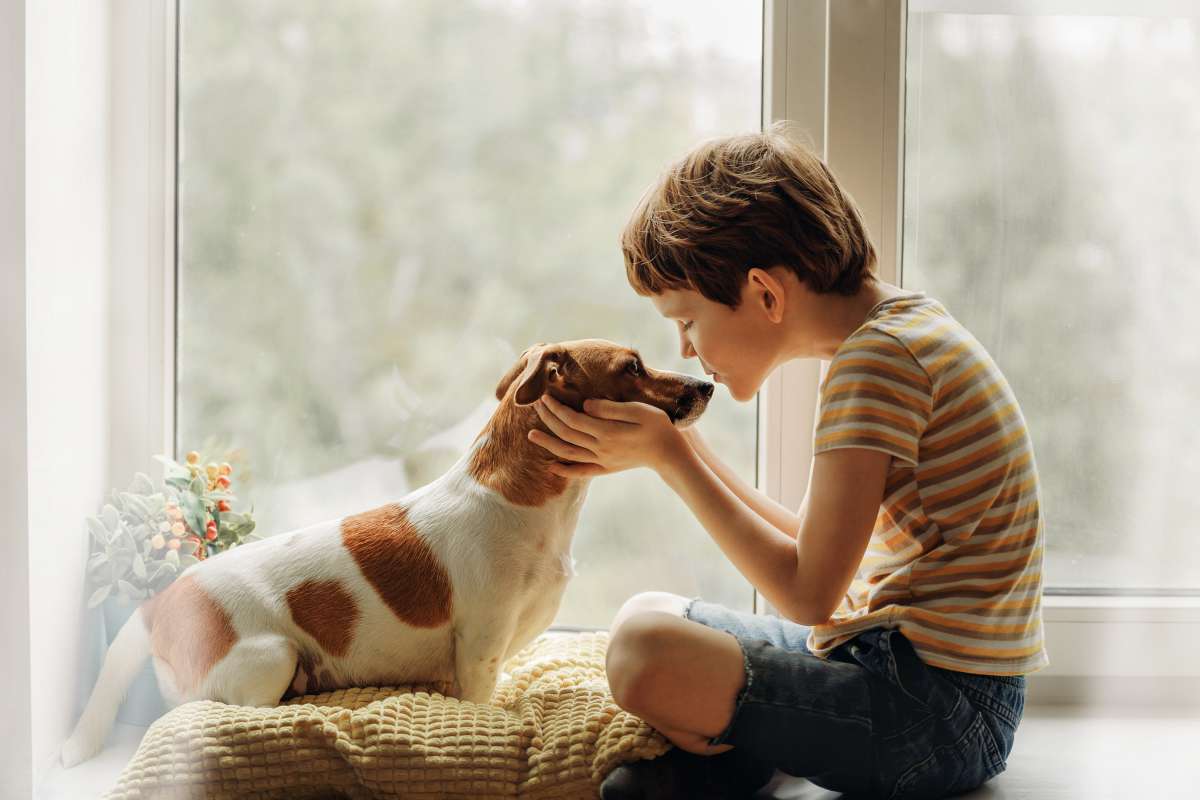 Pourquoi les chiens vivent moins longtemps que nous ? Un petit garçon livre une explication très émouvante !