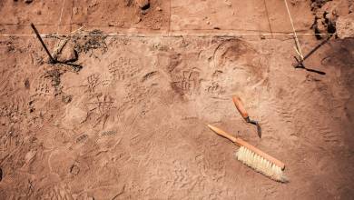 Un artefact artistique vieux de 10500 ans découvert en Suisse !