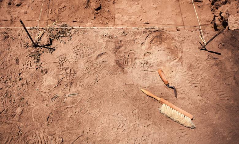 Un artefact artistique vieux de 10500 ans découvert en Suisse !