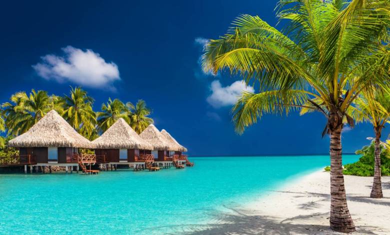 Maldives : un hotel paradisiaque lance un forfait à 25000€ pour vivre un an dans un bungalow