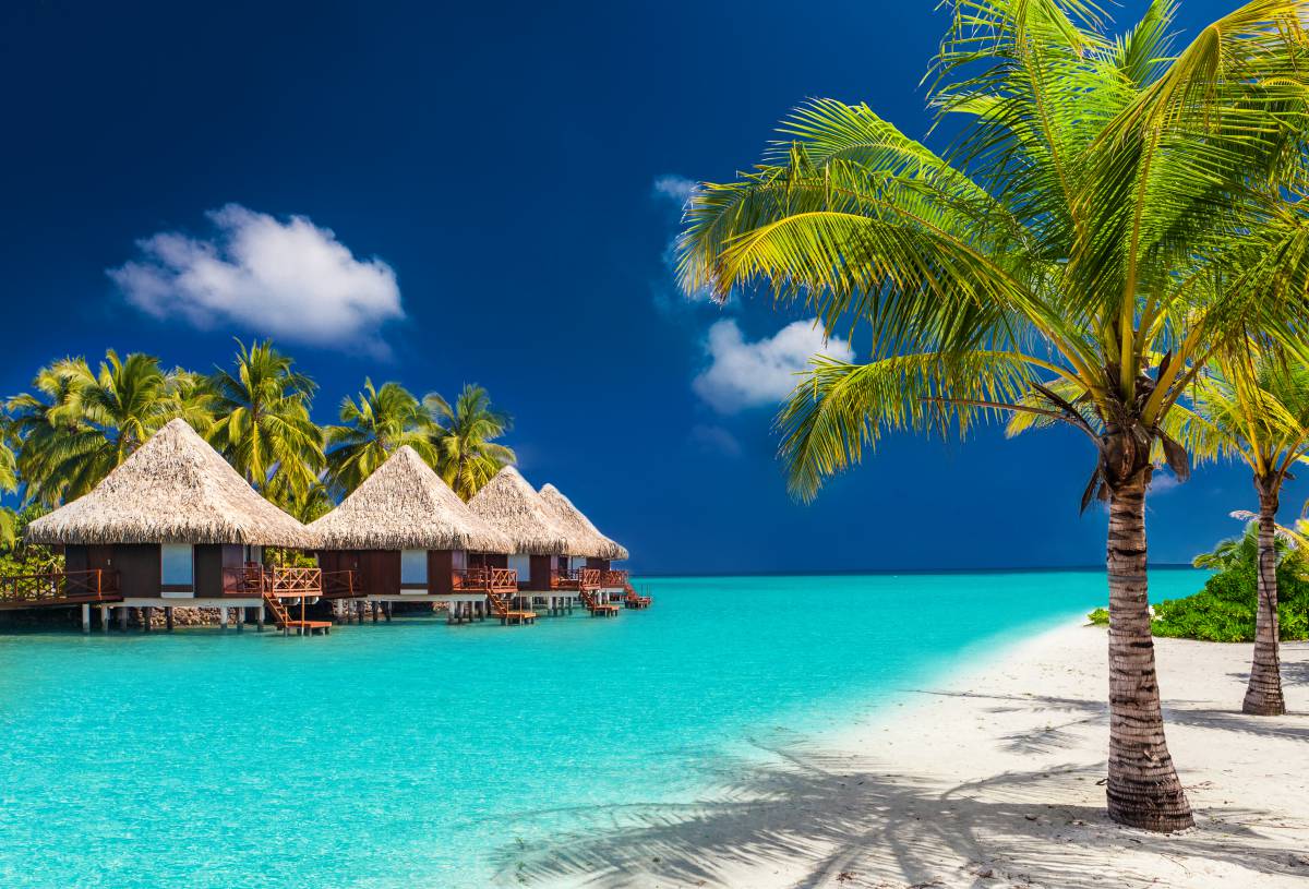 Maldives : un hotel paradisiaque lance un forfait à 25000€ pour vivre un an dans un bungalow