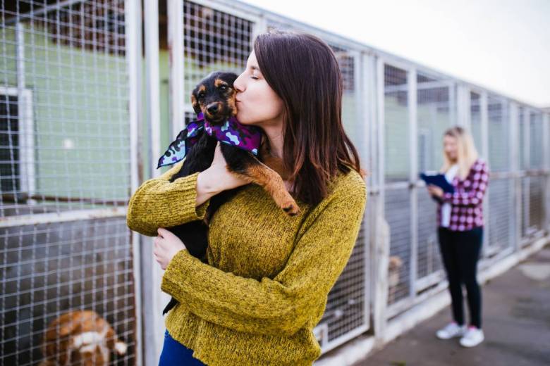 Un certificat pour posséder un animal de compagnie ? Pourquoi pas !