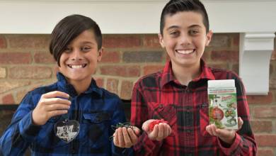 Deux enfants de 12 ans font fortune en inventant un système pour empêcher les boule de Noël de tomber