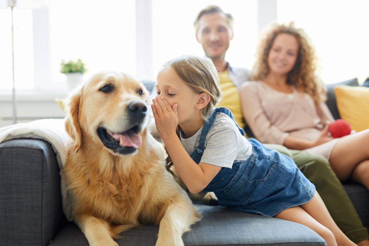 D’après cette étude, les chiens ne pourront jamais comprendre complètement le langage humain