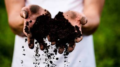 Cette entreprise auvergnate veut vous faire composter le plastique... à la maison !