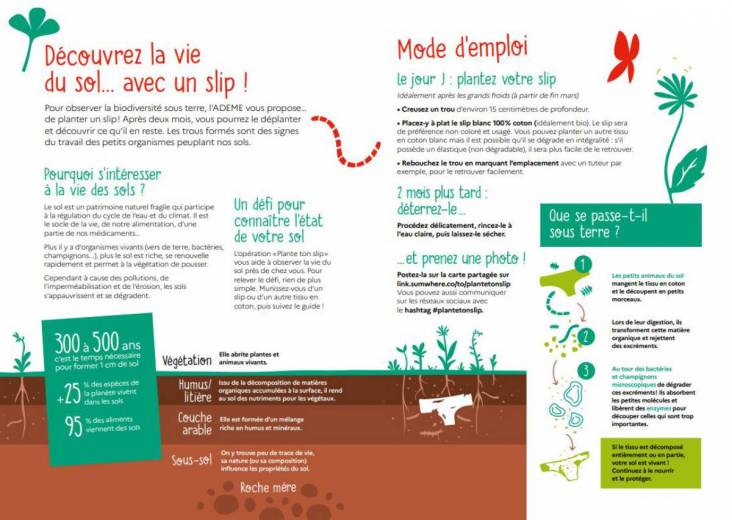 Le très sérieux défi #Plantetonslip de l'ADEME pour connaître la richesse de nos sols