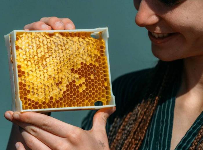 B-Box : un étonnant concept de ruche urbaine pour récolter son propre miel