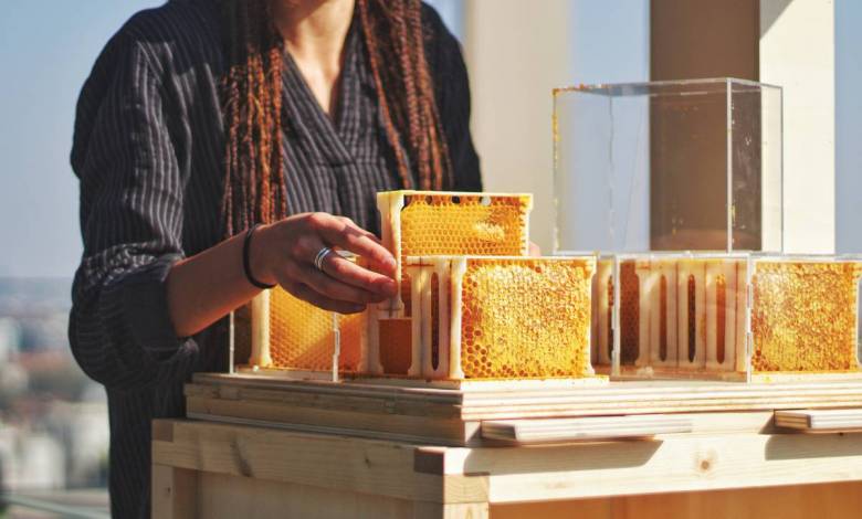 B-Box : un étonnant concept de ruche urbaine pour récolter son propre miel
