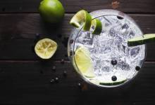 Une société recherche des volontaires pour tester différents échantillons de gins locaux, à déguster à la maison !