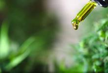 Douleurs chroniques, migraines.... Comment utiliser le CBD ?