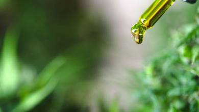 Douleurs chroniques, migraines.... Comment utiliser le CBD ?