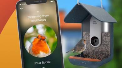 Bird Buddy : cette mangeoire intelligente prend en photo les oiseaux en indiquant leurs espèces