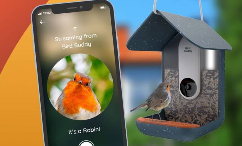 Bird Buddy : cette mangeoire intelligente prend en photo les oiseaux en indiquant leurs espèces
