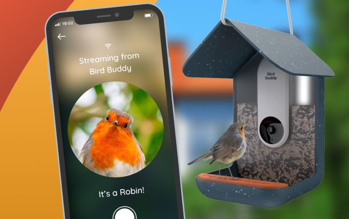 Bird Buddy : cette mangeoire intelligente prend en photo les oiseaux en indiquant leurs espèces