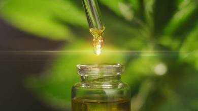 Le cannabidiol (CBD) peut-il améliorer le système immunitaire ?