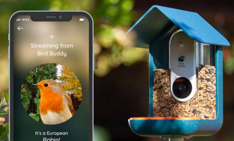 Une mangeoire à oiseaux connectée qui prend des photos fait exploser les compteurs sur Indiegogo