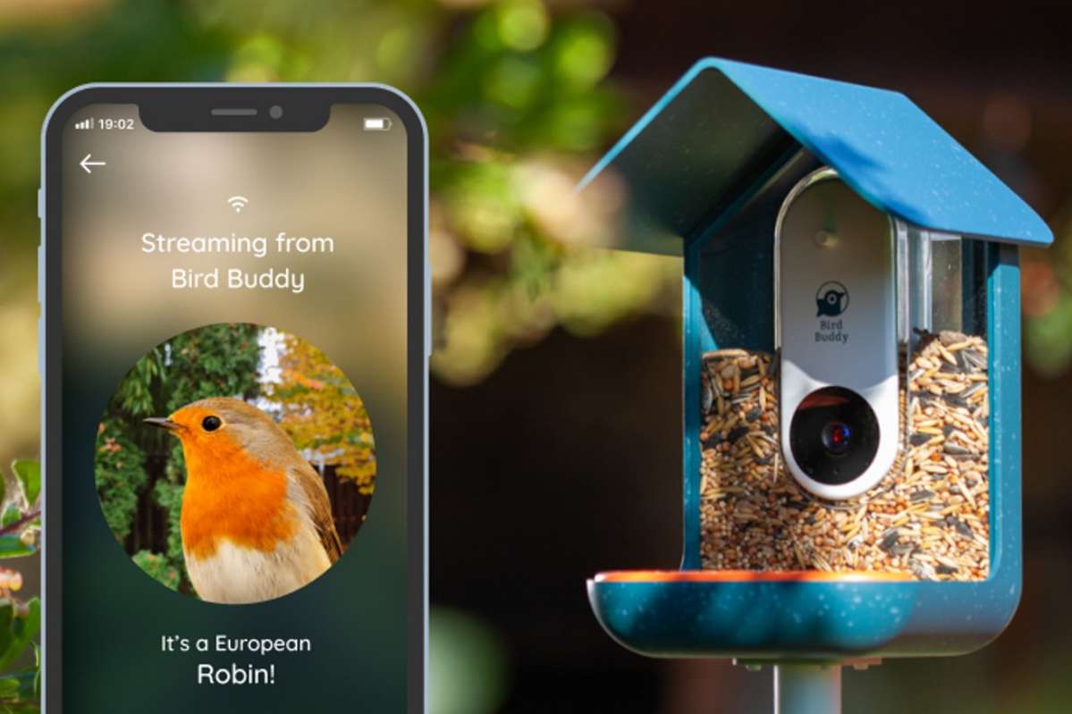 Une mangeoire à oiseaux connectée qui prend des photos fait exploser les compteurs sur Indiegogo