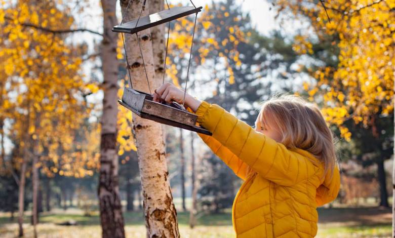 Comment nourrir les oiseaux en hiver ?