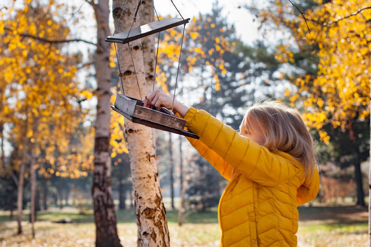 Comment nourrir les oiseaux en hiver ?