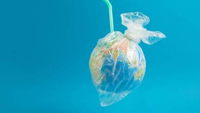 Du plastique dans les océans