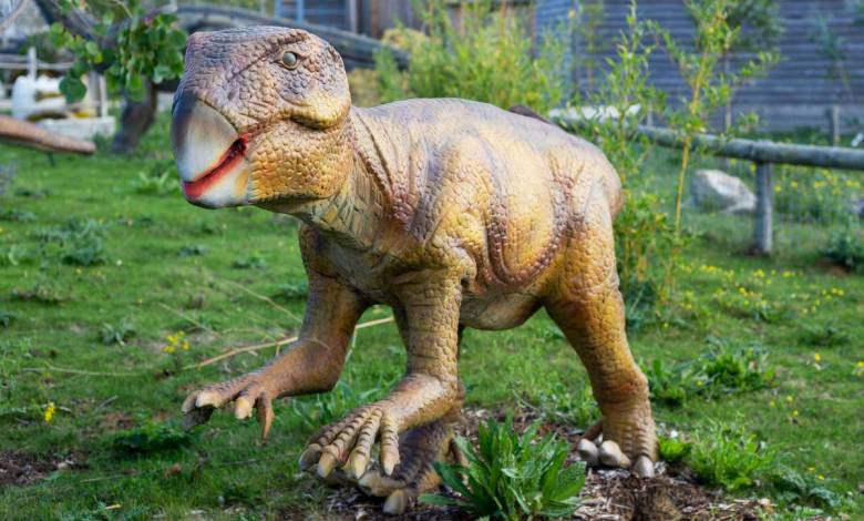 Vieux de 100 millions d’années, cet anus de dinosaure parfaitement conservé est une mine d'informations
