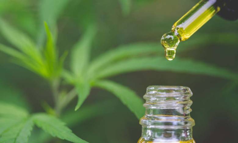De plus en plus de boutiques proposant du CBD ouvrent en France