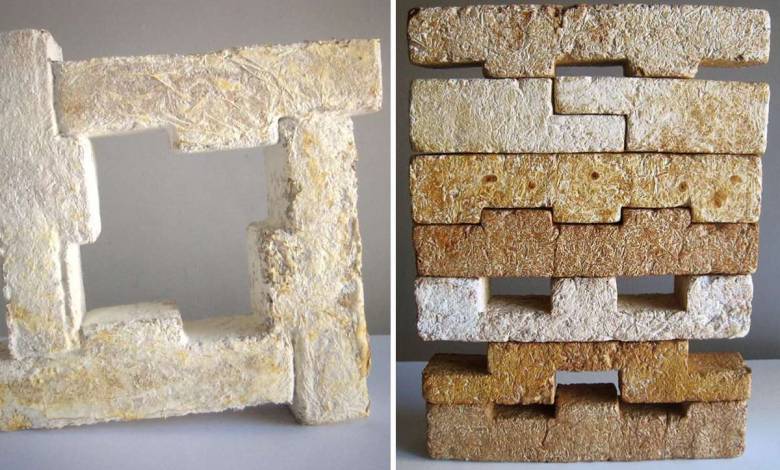 Dans le futur, votre maison sera peut-être fabriquée avec des champignons