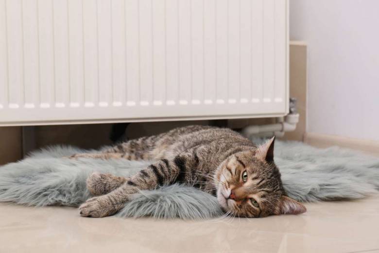 Guide d'achat : Comment choisir un radiateur électrique ?