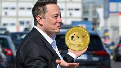 Elon Musk fait flamber le dogecoin, une cryptomonnaie créée en 2013... pour plaisanter !