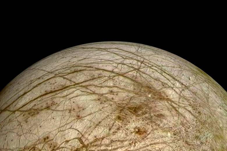 Une lune de Jupiter abriterait des créatures semblables à des "poulpes" d'après cette éminente scientifique