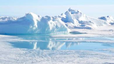 Découverte de plusieurs formes de vie non identifiées à 900 m de profondeur sous la calotte glaciaire !