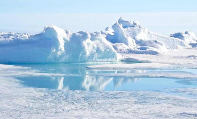 Découverte de plusieurs formes de vie non identifiées à 900 m de profondeur sous la calotte glaciaire !