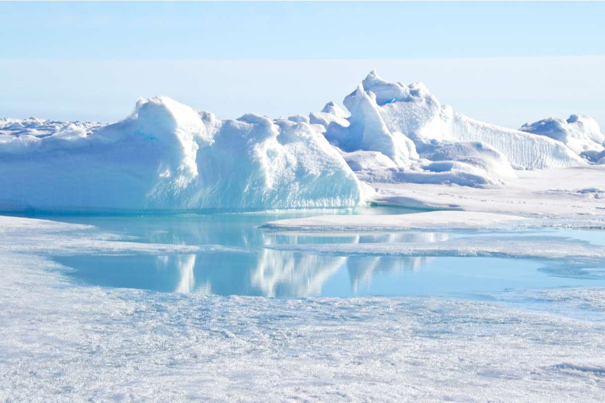 Découverte de plusieurs formes de vie non identifiées à 900 m de profondeur sous la calotte glaciaire !