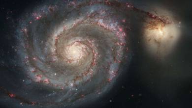 Cannibalisme galactique : des astrophysiciens du MIT affirment avoir détecté des signes de cet étrange phénomène