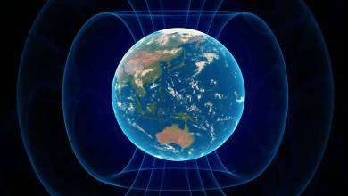 L’inversion du champ magnétique terrestre il y a plus de 40 000 ans responsable de plusieurs extinctions