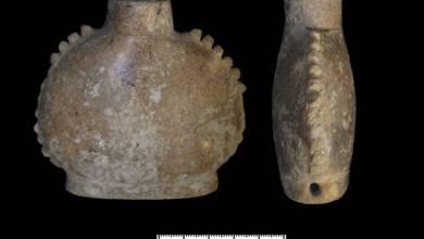 Des traces de tabac et de plantes "récréatives" découvertes dans des artefacts archéologiques Mayas