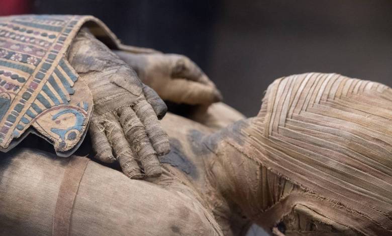 Les égyptologues ont établi les causes de la mort d’un pharaon, disparu depuis plus de 3 600 ans...
