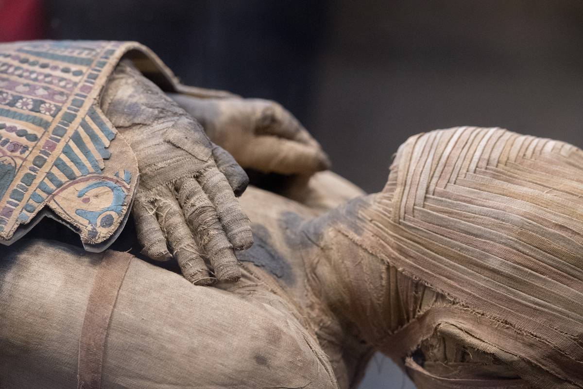Les égyptologues ont établi les causes de la mort d’un pharaon, disparu depuis plus de 3 600 ans...
