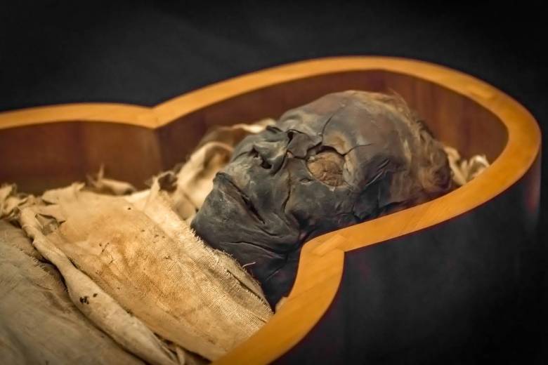 Les égyptologues ont établi les causes de la mort d’un pharaon, disparu depuis plus de 3 600 ans...