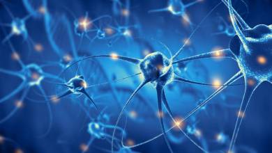 Des chercheurs ont découvert des différences singulières dans les neurones des personnes atteintes de schizophrénie