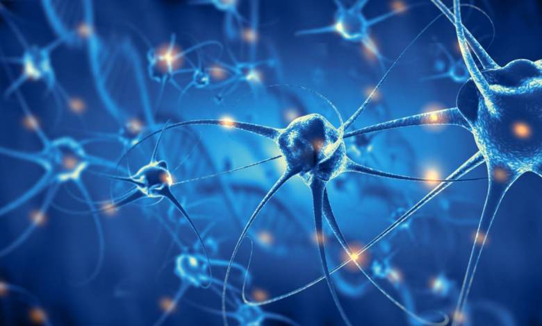 Des chercheurs ont découvert des différences singulières dans les neurones des personnes atteintes de schizophrénie