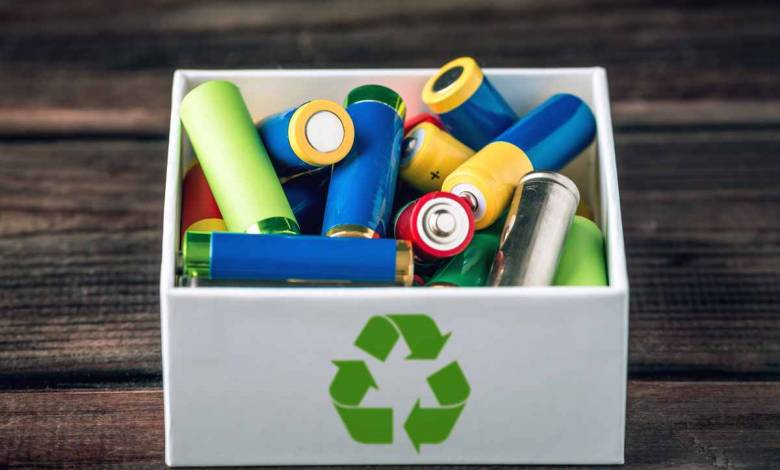 Guide d'achat : Jetable ou rechargeable, comment choisir vos piles ?