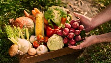 Cinq fruits et légumes par jour d'accord, mais dans quelle proportion ? Cette étude d'Harvard répond à la question !