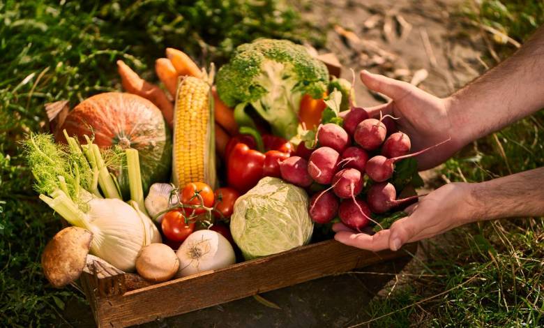 Cinq fruits et légumes par jour d'accord, mais dans quelle proportion ? Cette étude d'Harvard répond à la question !